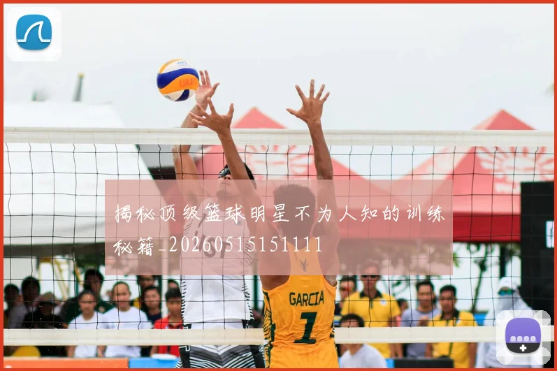 揭秘顶级篮球明星不为人知的训练秘籍_20260515151111