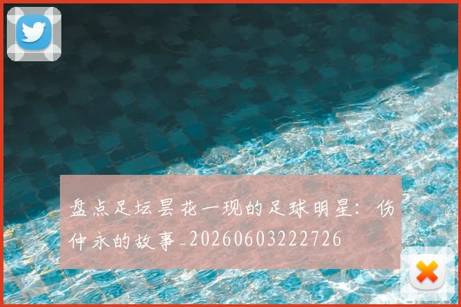盘点足坛昙花一现的足球明星:伤仲永的故事_20260603222726